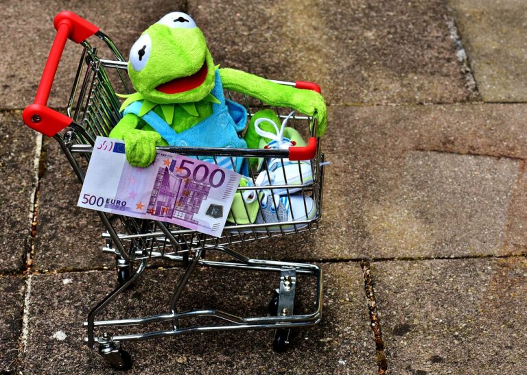 Multi-Channel Retailing: Integrating Online and Offline Shopping Experiences