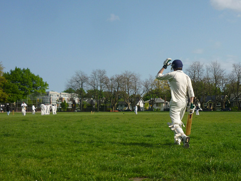 Cricket and Renewable Energy: Stadium Sustainability Initiatives