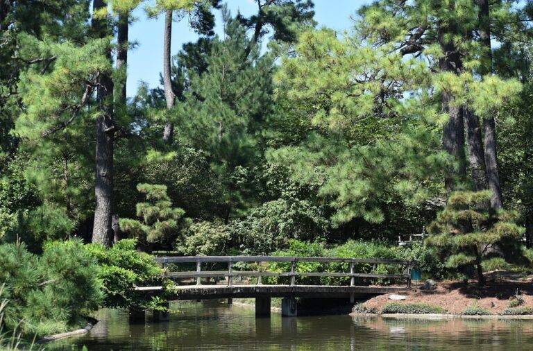 The Art of Garden Feng Shui: Balancing Energy in Outdoor Spaces: Betbhai9.com whatsapp number, Radhe exchange id, Lotus365 login