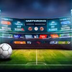 11xplay: How to Bet on International Cricket and Win Big