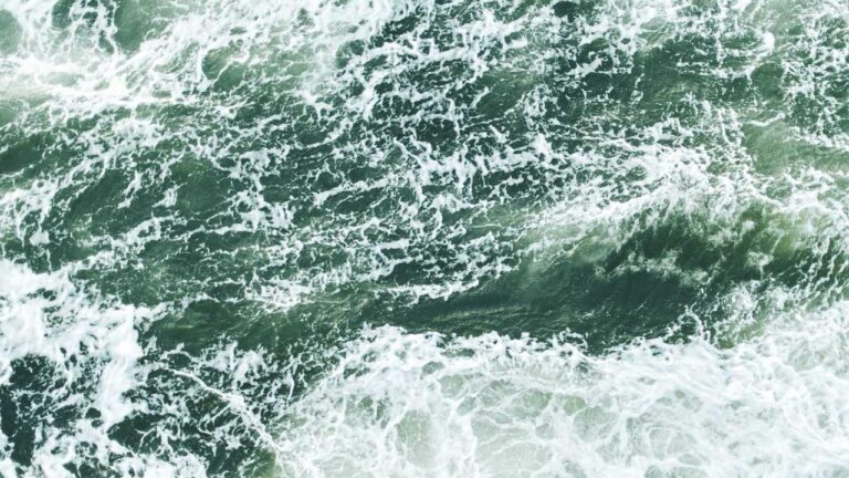 What Is Cricbet99 Whatsapp Number For India?